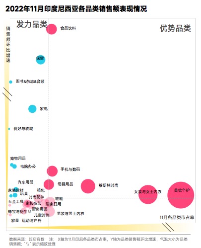 2022年年末大促季 TikTok电商商品趋势分析报告