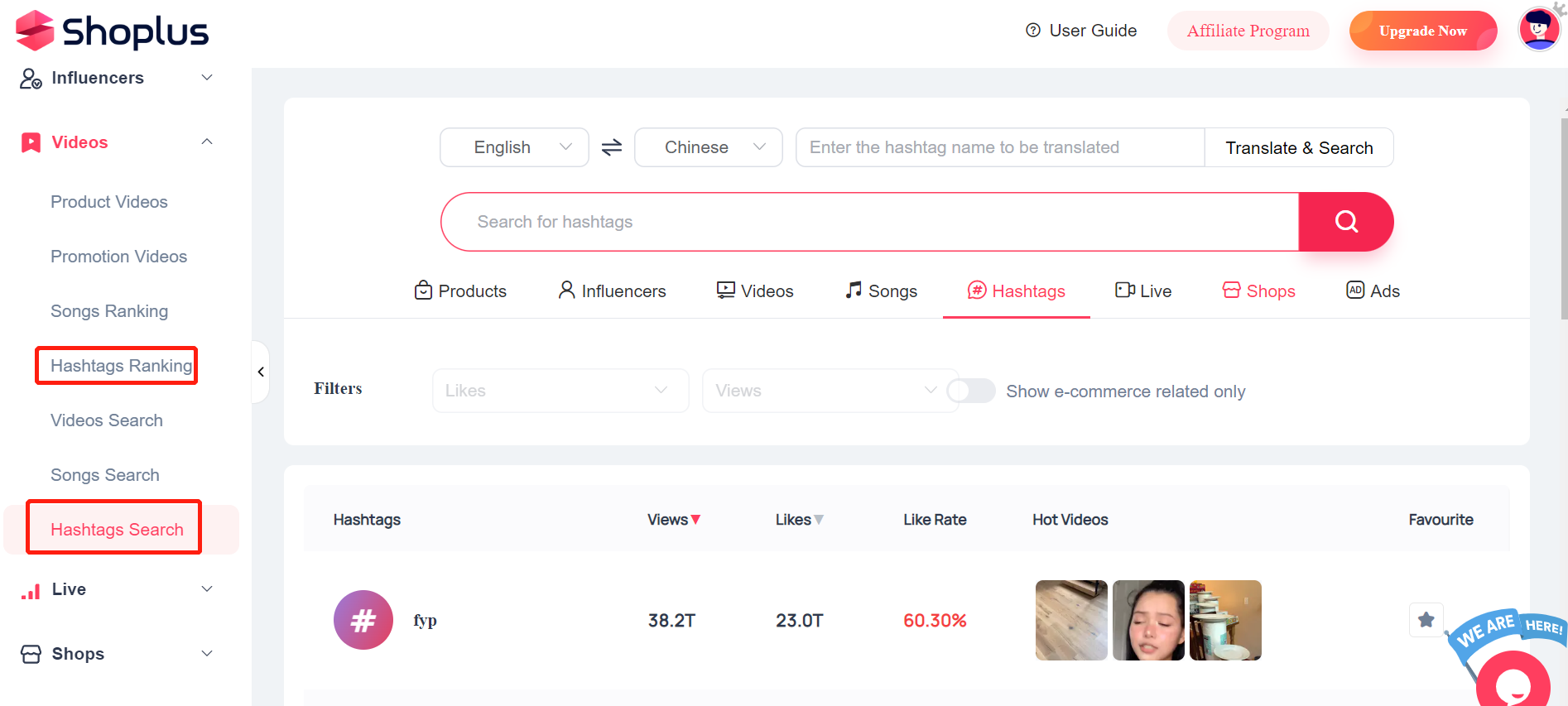 TikTok analytics viewer